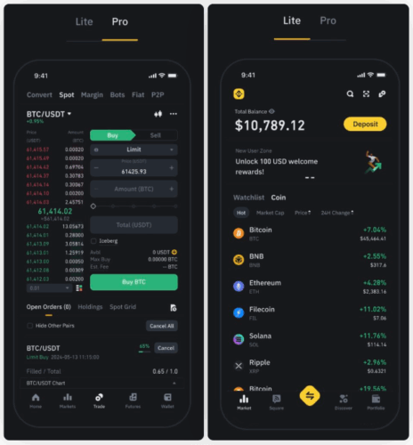 Binance Lite Vs Pro