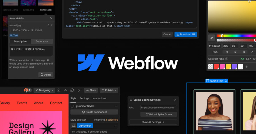 Webflow Custom Code